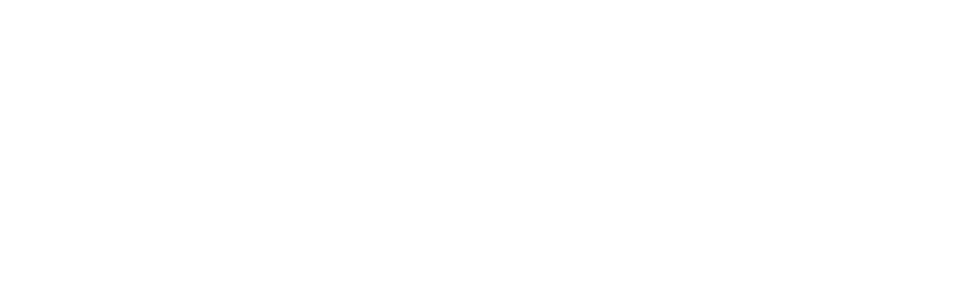 ICON INTERNATIONAL
