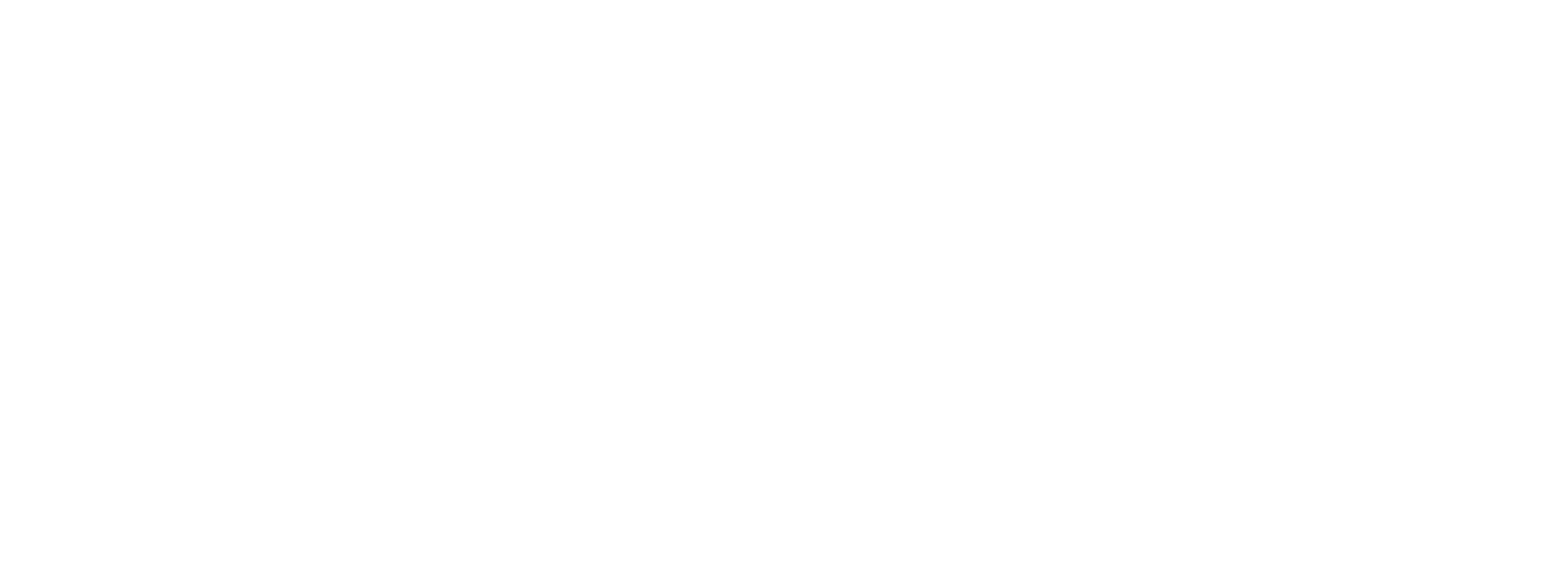 ICON MC